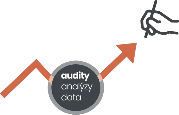 Audity webu a analýzy dat